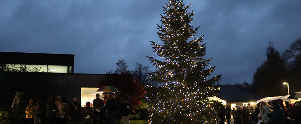 Christmas tree outside lit up at night with people stood around it