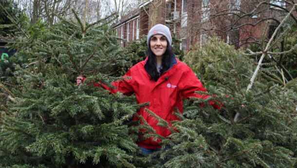 Woman in red coat and hat smiling standing amongst lots of Christmas trees ready for Treetops Hospice Treecycling